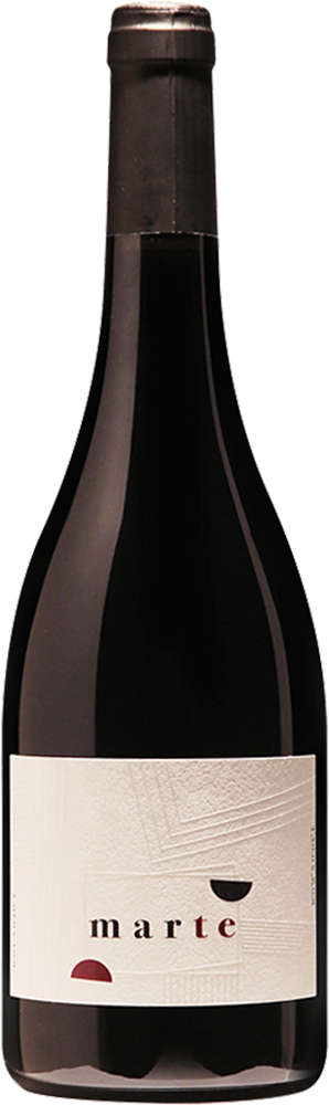 2022 Marte Vallagarina IGP 2022 Marte Vallagarina IGP