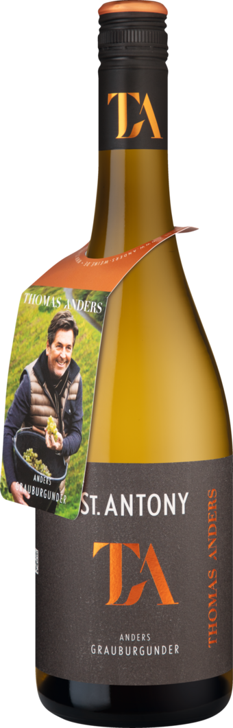 Weingut St. Antony 2024 Thomas Anders Grauburgunder