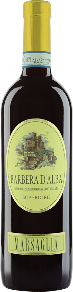 2020 Castellinaldo Barbera d'Alba Superiore DOC 2020 Castellinaldo Barbera d'Alba Superiore DOC
