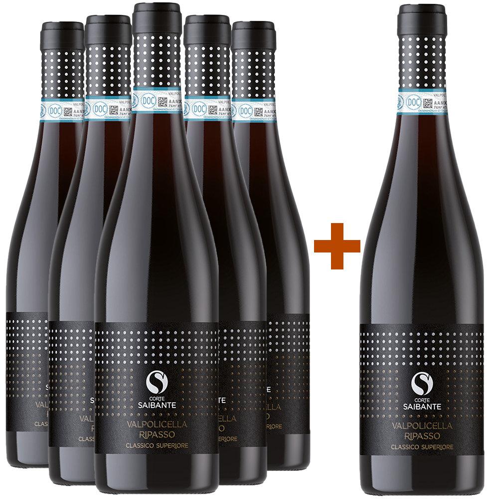 5+1 Valpolicella Ripasso Classico Superiore DOC