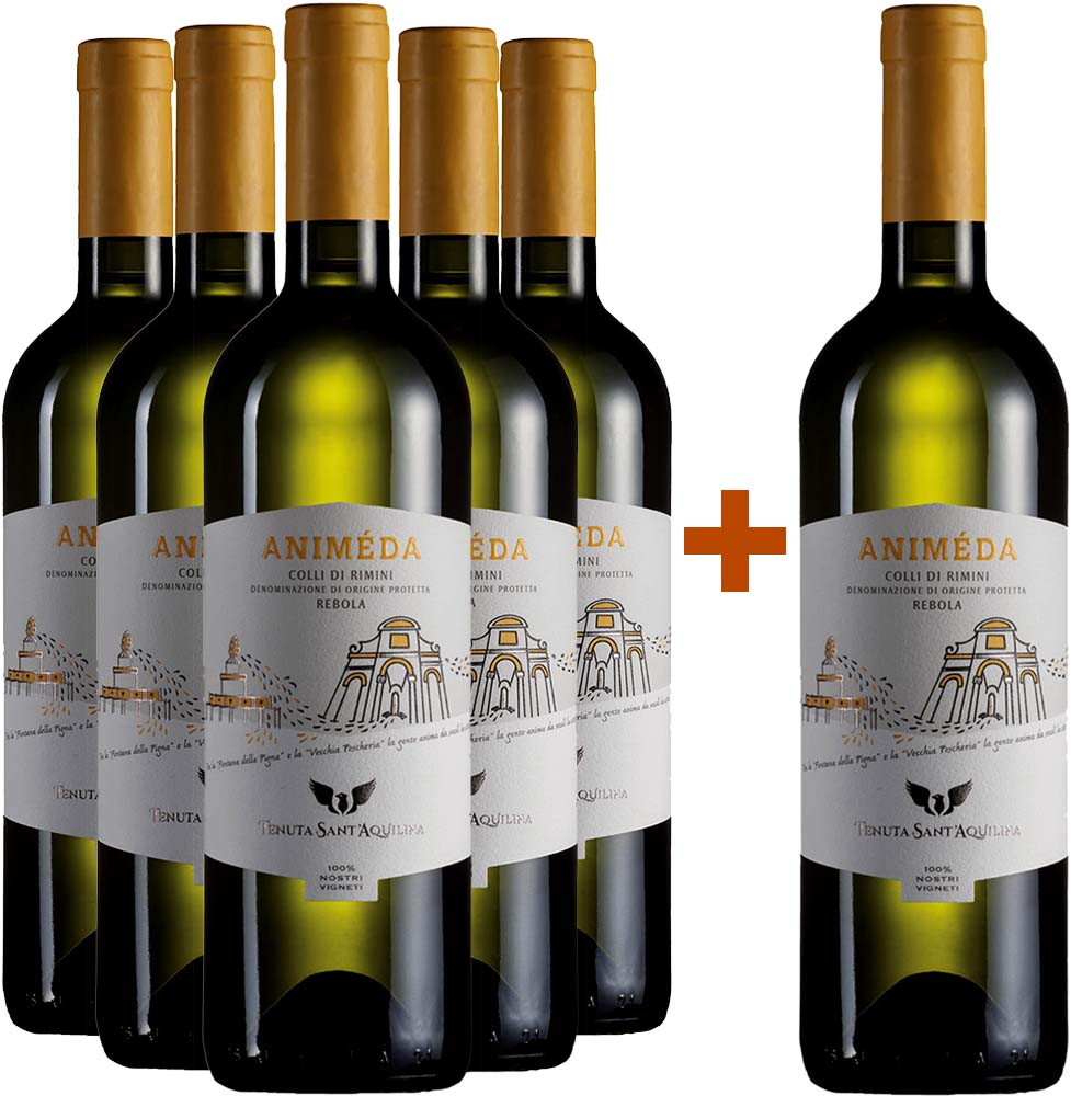 5+1 Animéda Rebola Colli di Rimini DOC BIO