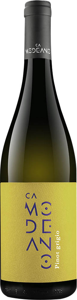 2023 Pinot Grigio Friuli DOC