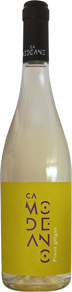 2024 Pinot Grigio Friuli DOC 2024 Pinot Grigio Friuli DOC