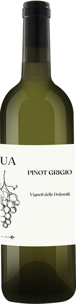 2023 Pinot Grigio Vigneti delle Dolomiti IGP 2023 Pinot Grigio Vigneti delle Dolomiti IGP