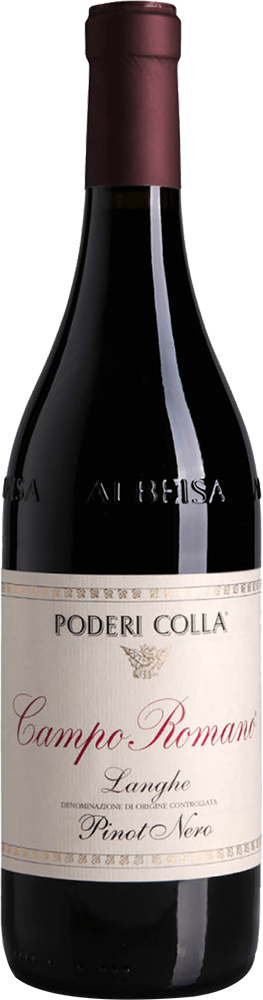 2021 Campo Romano Pinot Nero Langhe DOC