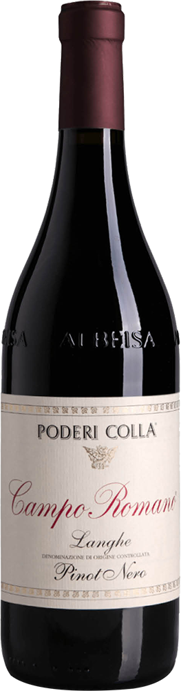 2021 Campo Romano Pinot Nero Langhe DOC 2021 Campo Romano Pinot Nero Langhe DOC