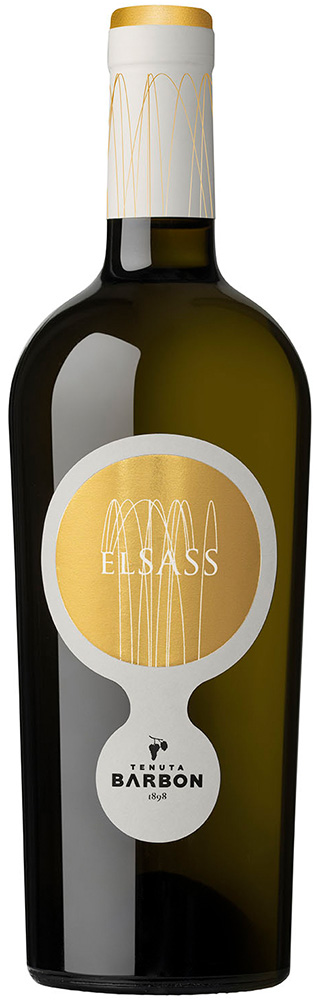 Elsass Bianco Marcia Trevigiana IGP