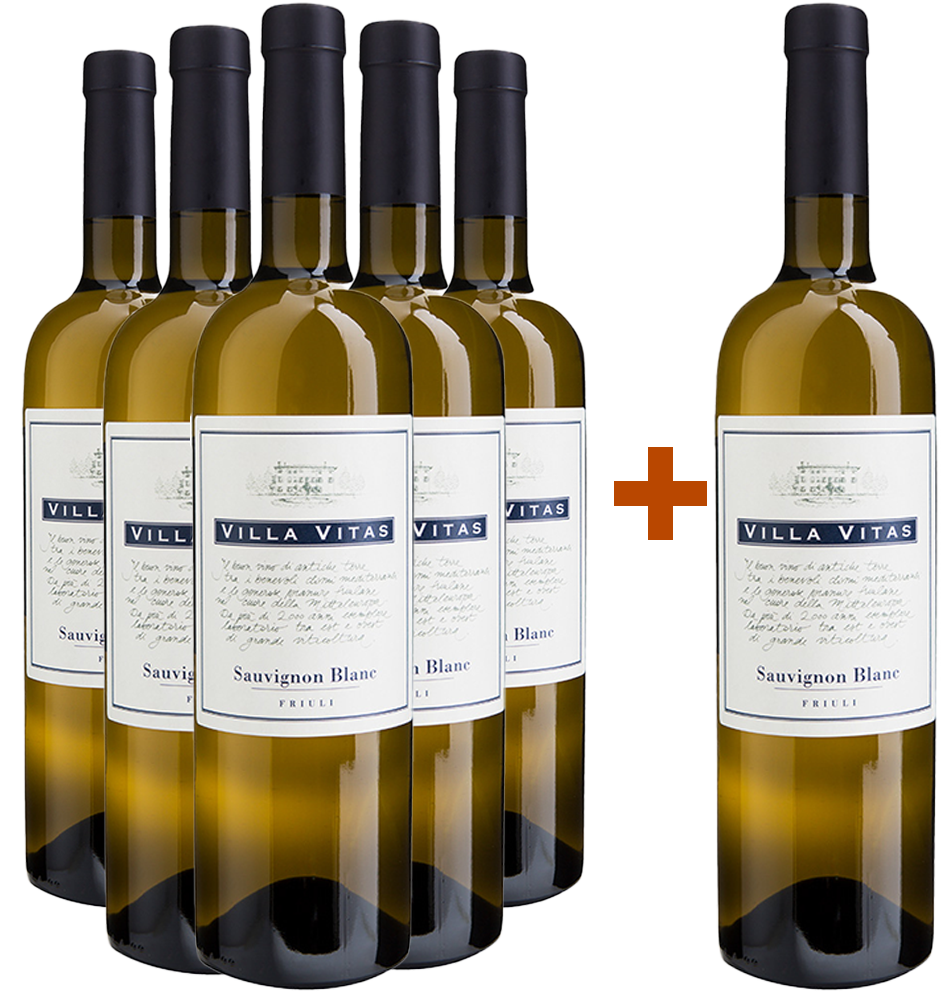 5+1 Sauvignon Friuli DOC 5+1 Sauvignon Friuli DOC