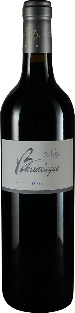 2019 Cuvée "Divin" Canon Fronsac AOP