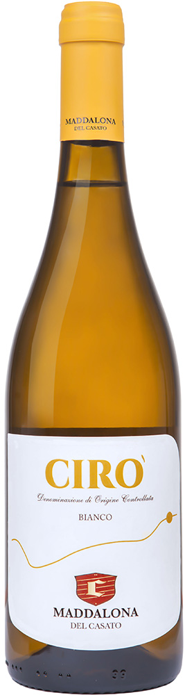 2024 Bianco Cirò DOC 2024 Bianco Cirò DOC