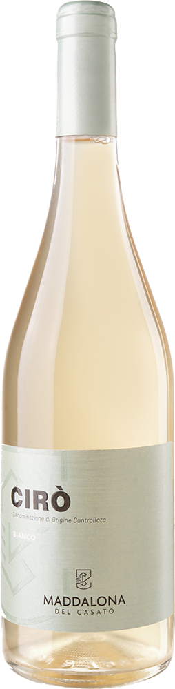 2024 Bianco Cirò DOC