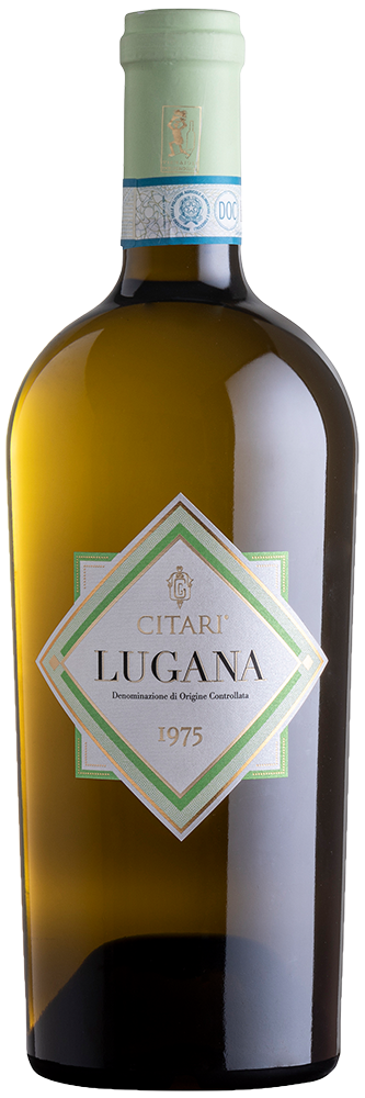 2024 Lugana DOC 2024 Lugana DOC