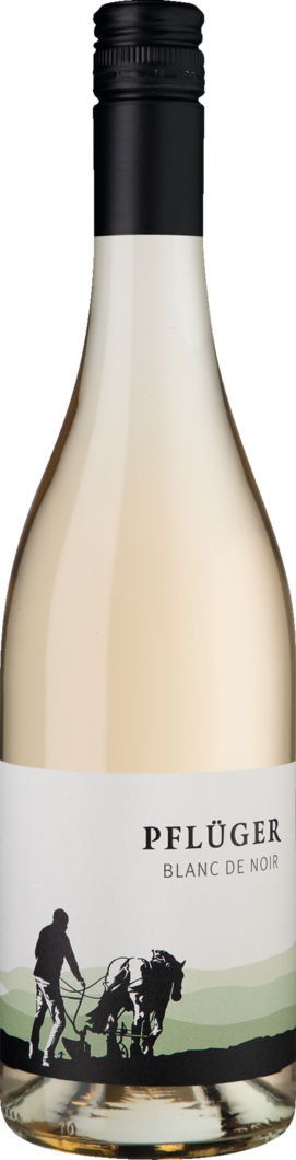 Weingut Pflüger 2025 Pflüger Blanc de Noir BIO