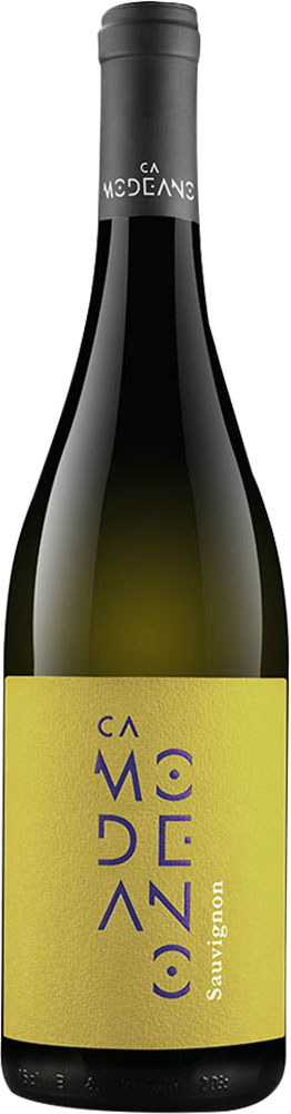 2024 Sauvignon Friuli DOC