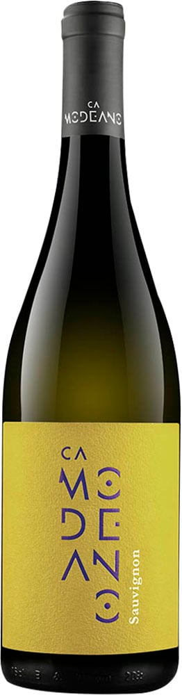 2024 Sauvignon Friuli DOC 2024 Sauvignon Friuli DOC
