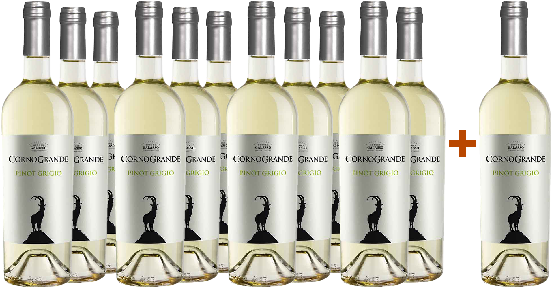11+1 Corno Grande Pinot Grigio Colline Pescaresi IGP