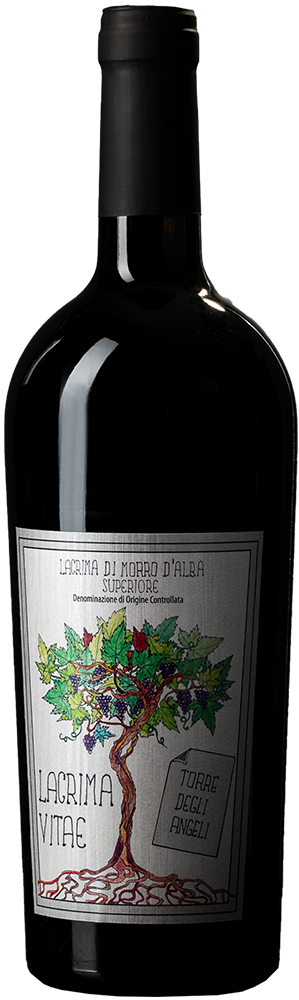 2019 Lacrima Vitae Lacrima Di Morro D'Alba Superiore DOC
