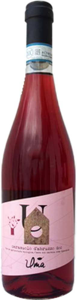2024 Cerasuolo d’Abruzzo DOC BIO