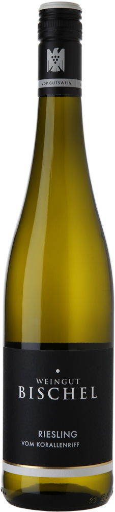 Weingut Bischel 2024 Riesling vom Korallenriff VDP.Gutswein BIO