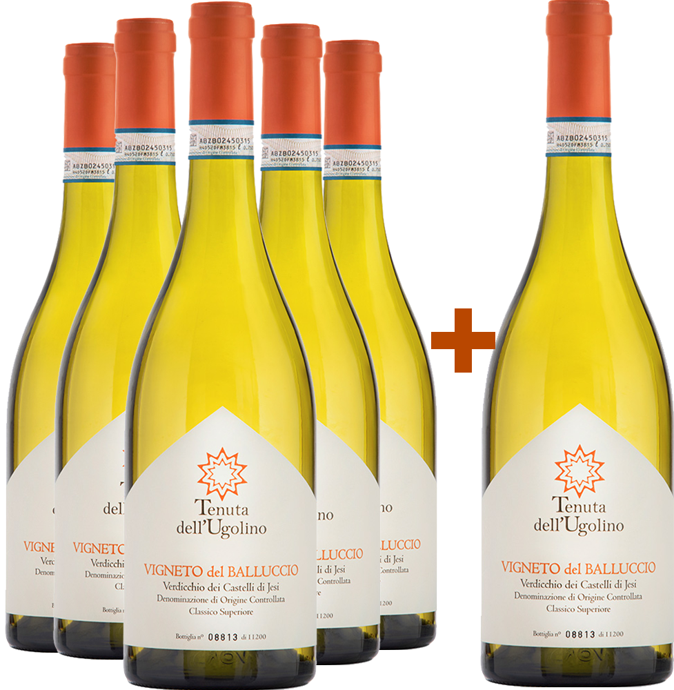 5+1 Vigneto del Balluccio Verdicchio dei Castelli di Jesi Classico Superiore DOC BIO