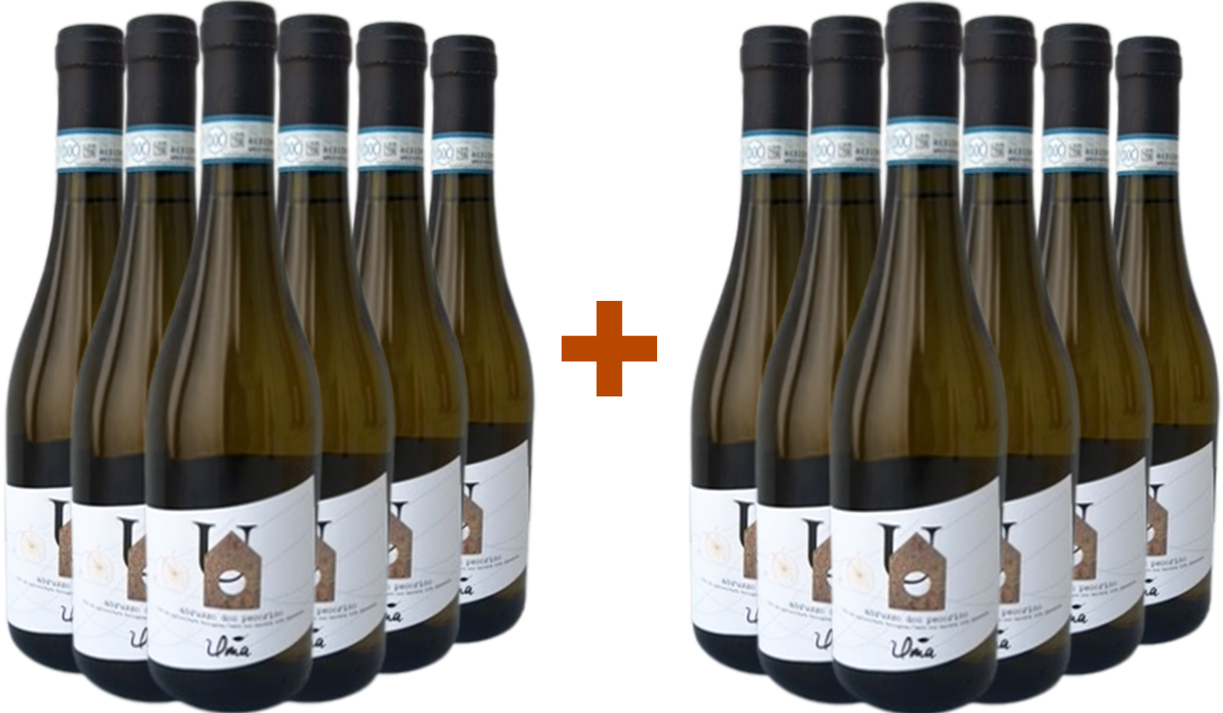 6+6 Pecorino Abruzzo DOC BIO 6+6 Pecorino Abruzzo DOC BIO