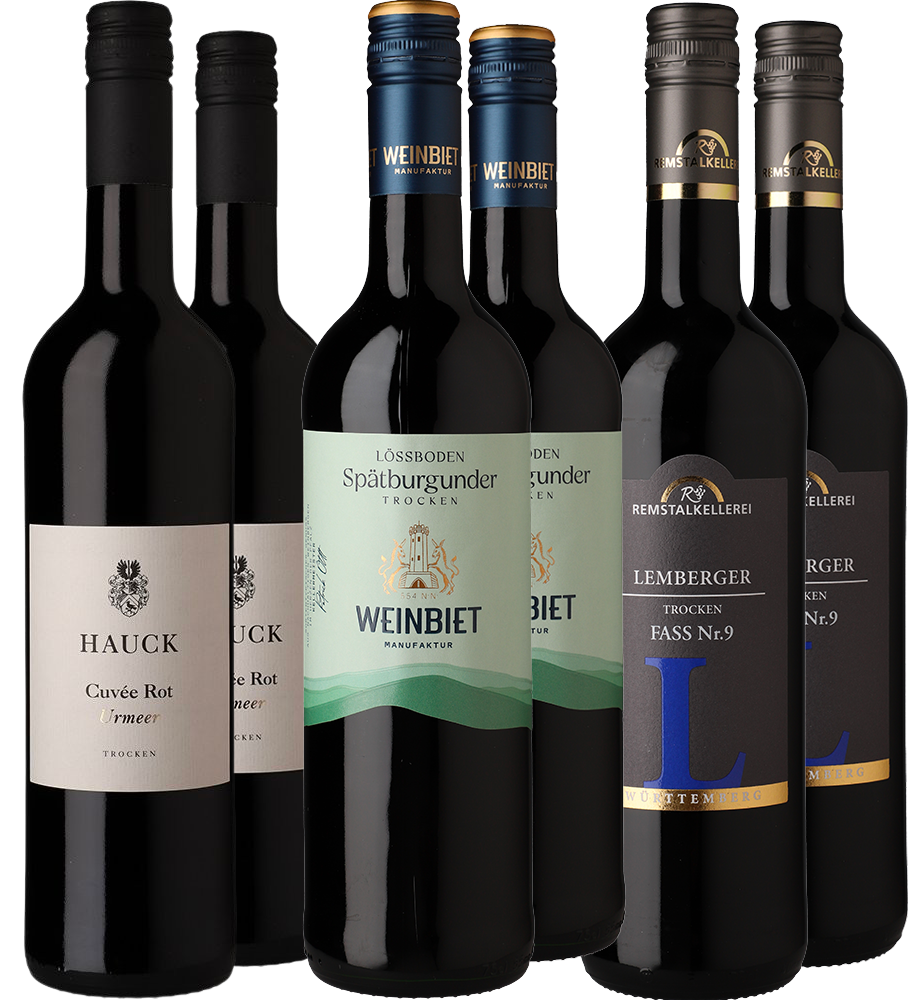 WirWinzer Select Rotwein Entdecker-Paket
