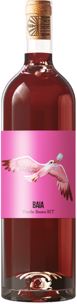 2023 Baia Marche IGP 2023 Baia Marche IGP