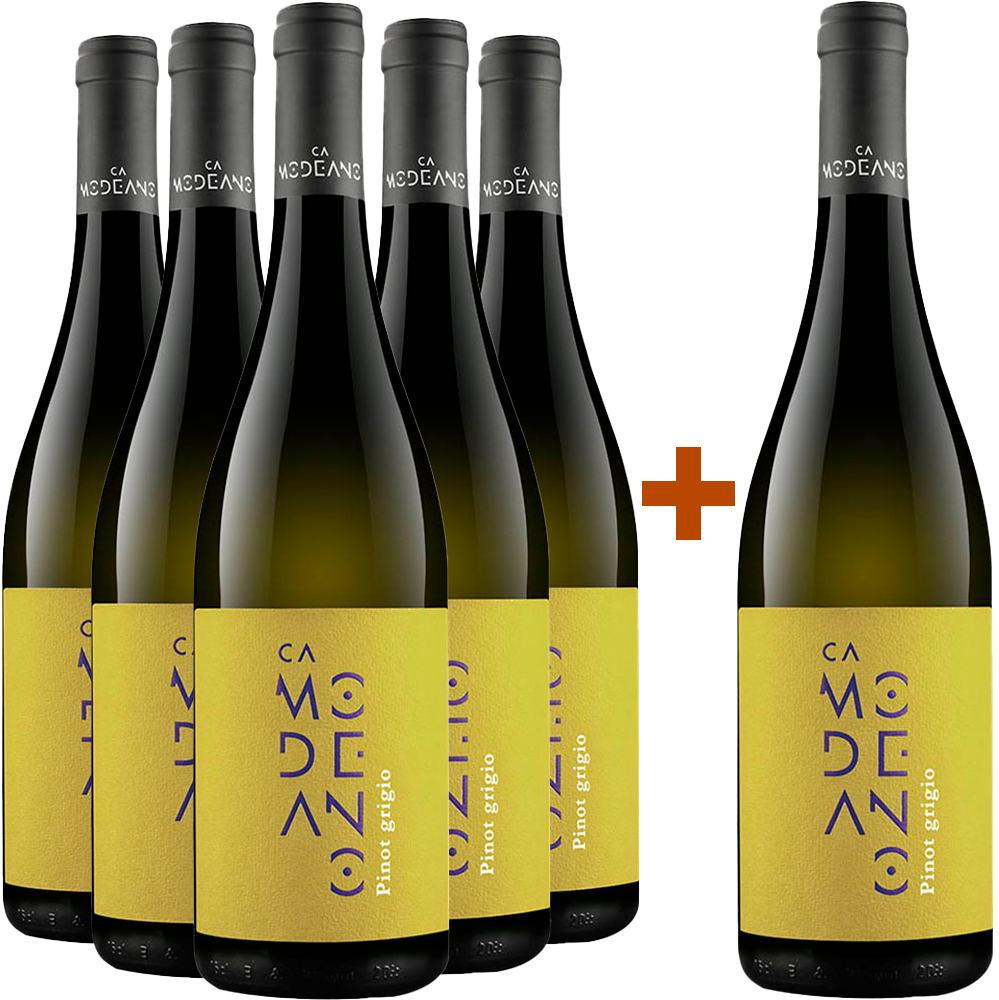 5+1 Pinot Grigio Friuli DOC 5+1 Pinot Grigio Friuli DOC