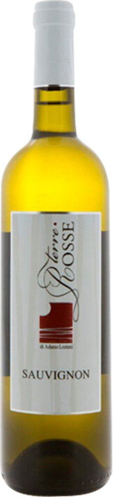 2023 Sauvignon Friuli DOC