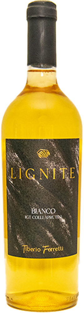 2024 Bianco Colli Aprutini IGP 2024 Bianco Colli Aprutini IGP