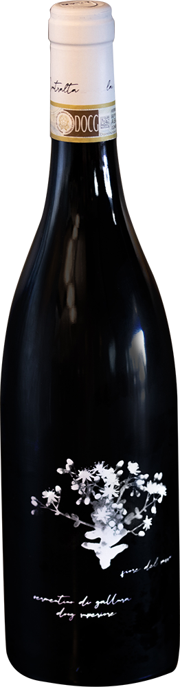 2023 Fiore del sasso Vermentino di Gallura DOCG 2023 Fiore del sasso Vermentino di Gallura DOCG