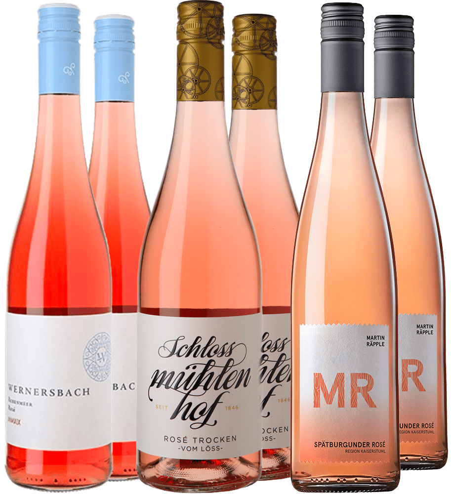 WirWinzer Select Rosé Entdecker-Paket