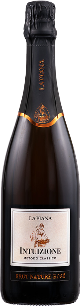2020 Intuizione Lambrusco Grasparossa di Castelvetro DOC BIO 2020 Intuizione Lambrusco Grasparossa di Castelvetro DOC BIO