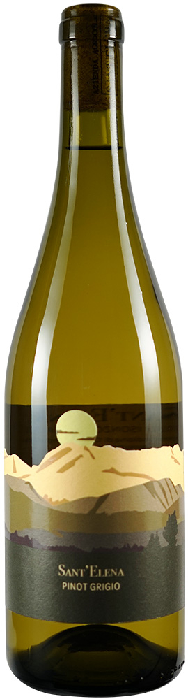 2022 Pinot Grigio Friuli Isonzo DOC BIO