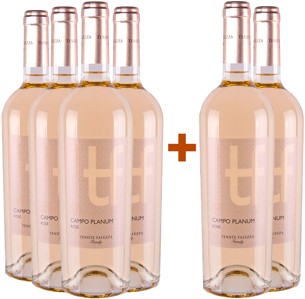 4+2 Campo Planum Rosé Corvina Veronese IGP