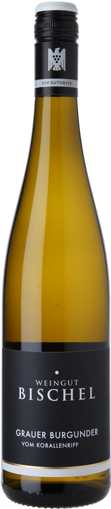 Weingut Bischel 2024 Grauburgunder vom Korallenriff VDP.Gutswein