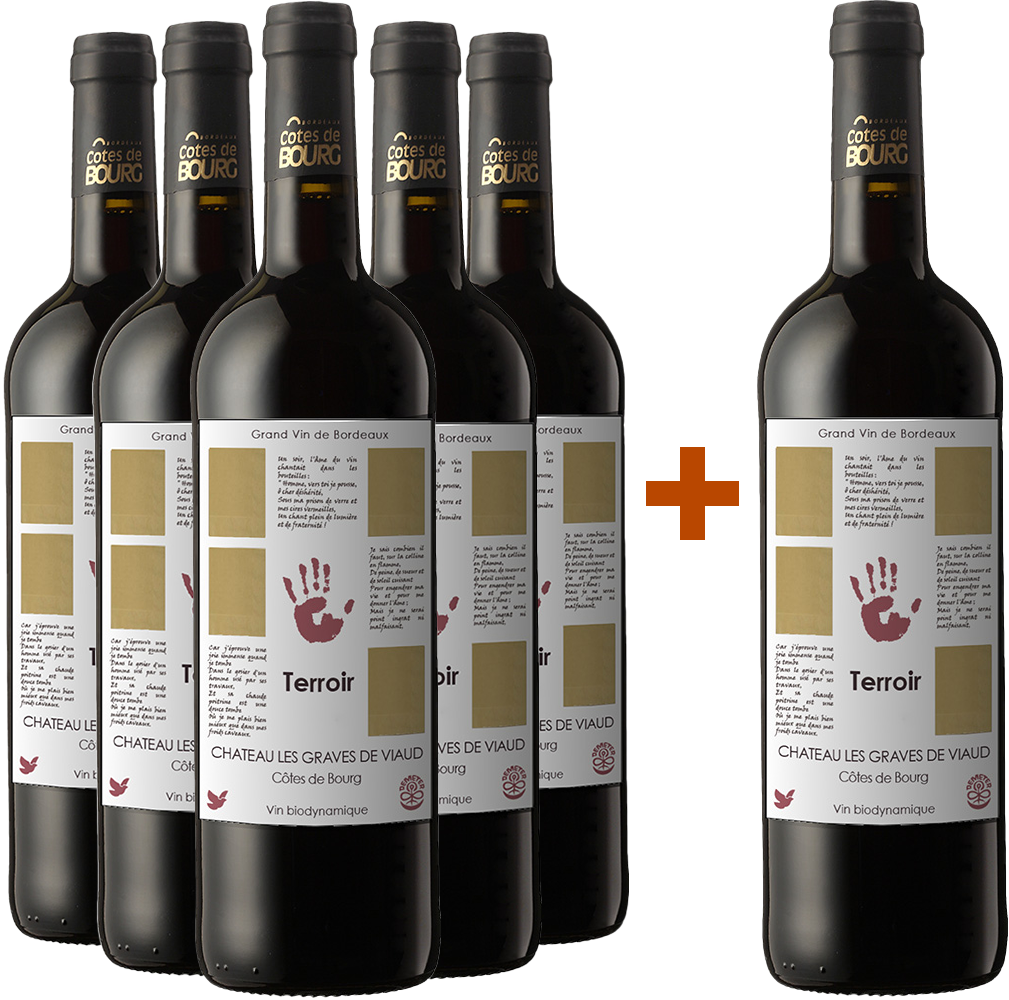 5+1 cuvée "Terroir" Côtes de Bourg AOP BIO 5+1 cuvée "Terroir" Côtes de Bourg AOP BIO