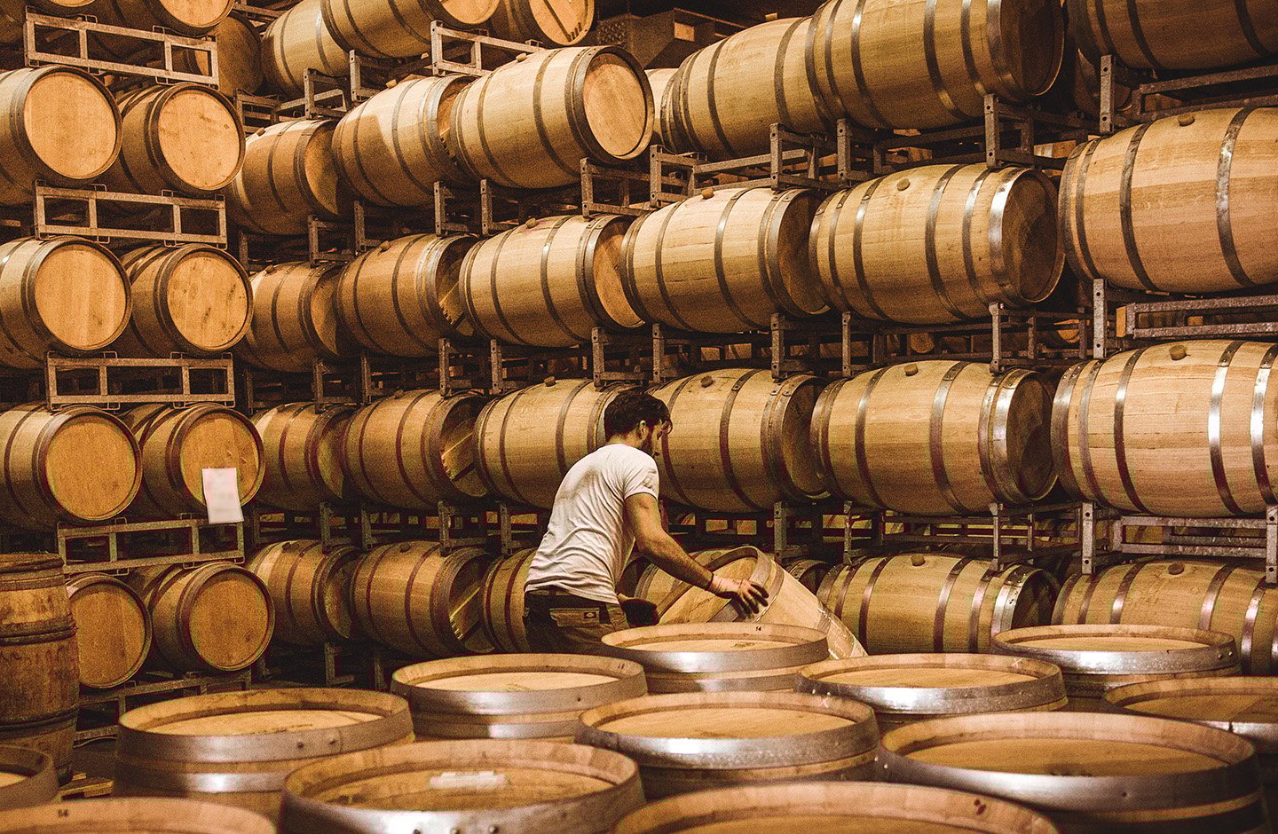 Barrels in the winery Barrels of wine aging in a traditional winery cellar