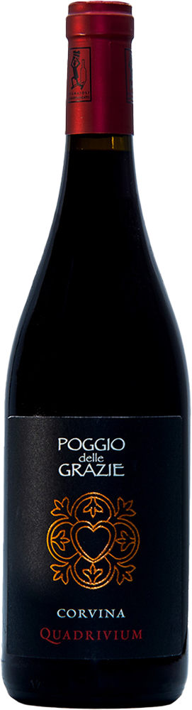 2020 Quadrivium Corvina Verona IGP BIO 2020 Quadrivium Corvina Verona IGP BIO