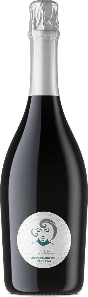 2024 Finezza-Tecebe