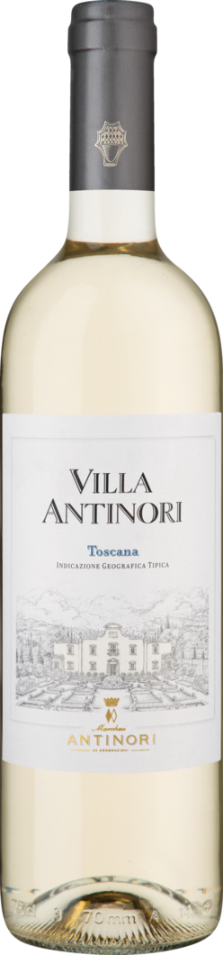 Marchesi Antinori 2025 Villa Antinori Bianco