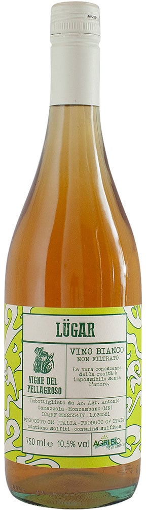 2022 Lugar 2022 Lugar