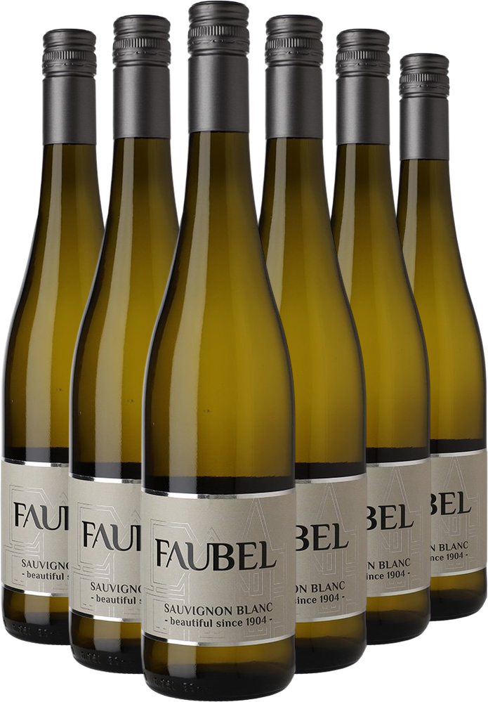Weingut Faubel Beautiful Since 1904 Sauvignon Blanc-Paket