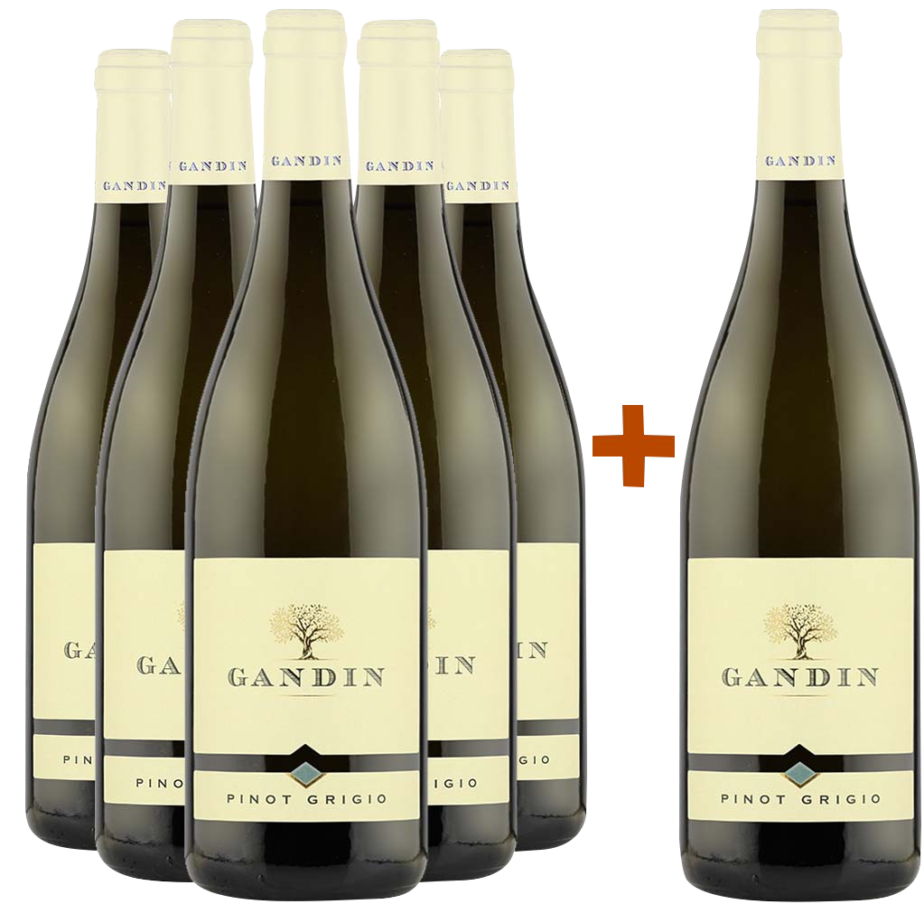 5+1 Pinot Grigio Friuli Isonzo DOC 5+1 Pinot Grigio Friuli Isonzo DOC