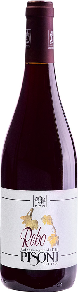 2022 Rebo Vigneti delle Dolomiti IGP BIO