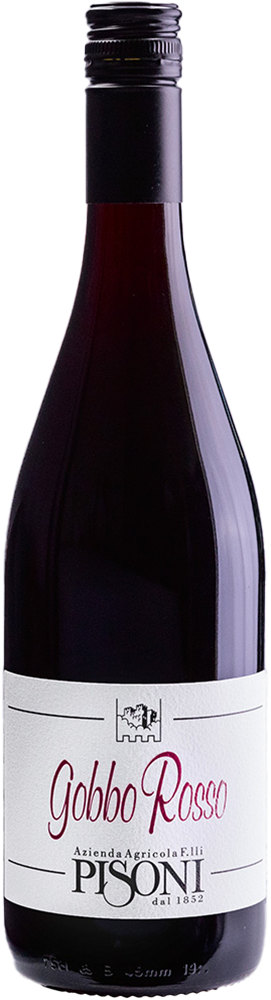 2024 Gobbo Teroldego Vigneti delle Dolomiti IGP BIO 2024 Gobbo Teroldego Vigneti delle Dolomiti IGP BIO