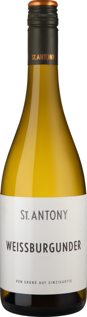 Weingut St. Antony 2025 St. Antony Weissburgunder BIO