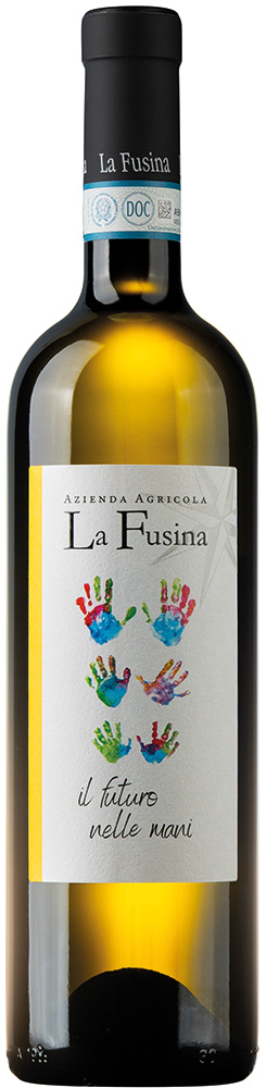 2023 Langhe Sauvignon DOC