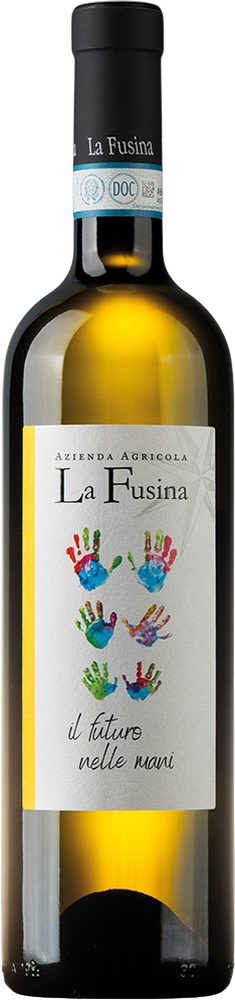 2025 Langhe Sauvignon DOC