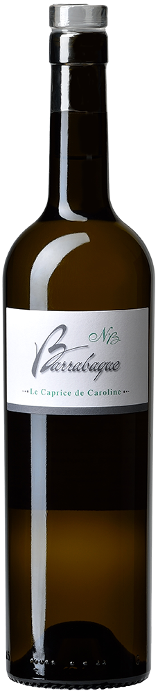 2024 Le Caprice de Caroline 2024 Le Caprice de Caroline